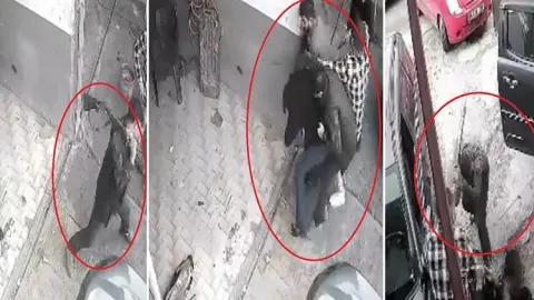 Ateş ettikleri tüfeği üzerlerinde kırdılar: Kayseri'deki dehşet anları kamerada