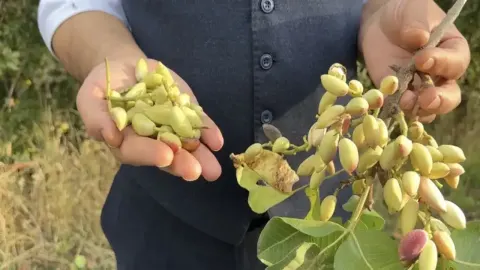 Dağlardan servet fışkırdı: Unutulan alanda paraya para demiyorlar