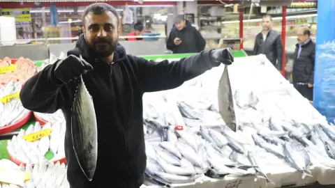 Deniz yok, palamut çok! Sivas’tan Türkiye’ye balık gönderiliyor