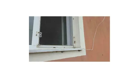 Depremden sonra gelen istila! Evleri ve bahçeleri sardı, ilaç da çare oluyor