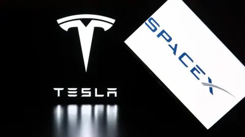 Elon Musk, SpaceX ile Tesla'nın olası birleşme için komiteler kurduğunu belirtti