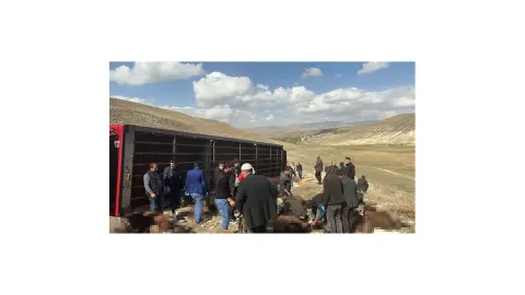 Kışlak yolculuğu faciayla bitti! Tüm serveti yok oldu