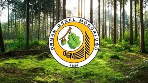 Orman Genel Müdürlüğü 12 müfettiş yardımcısı istihdam edecek