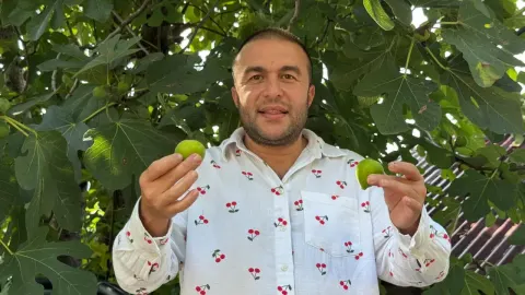 Şubata kadar dalda kalıyor! Kışın ortasında servet topluyorlar!