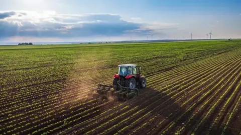 Tarımsal girdi fiyatları ağustosta yüzde 30,28 arttı